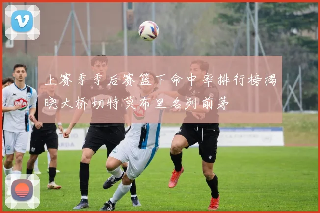 上赛季季后赛篮下命中率排行榜揭晓大桥切特莫布里名列前茅