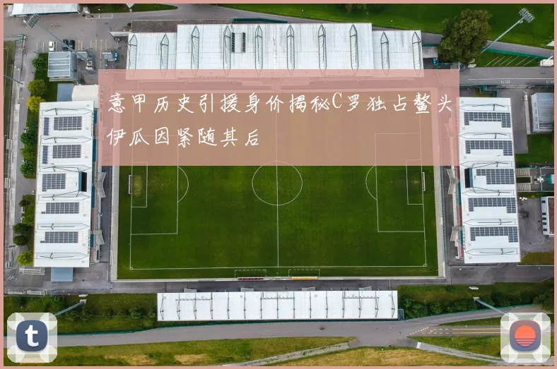 意甲历史引援身价揭秘C罗独占鳌头伊瓜因紧随其后