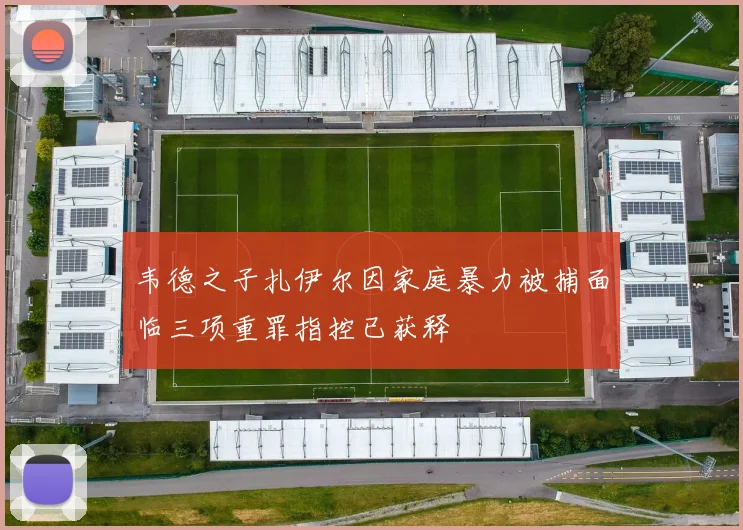 韦德之子扎伊尔因家庭暴力被捕面临三项重罪指控已获释