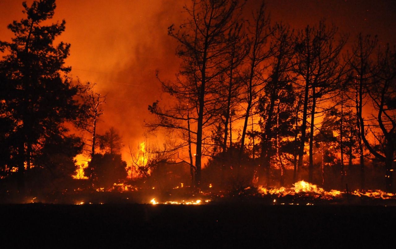 The PKK terrorist organization is burning forests